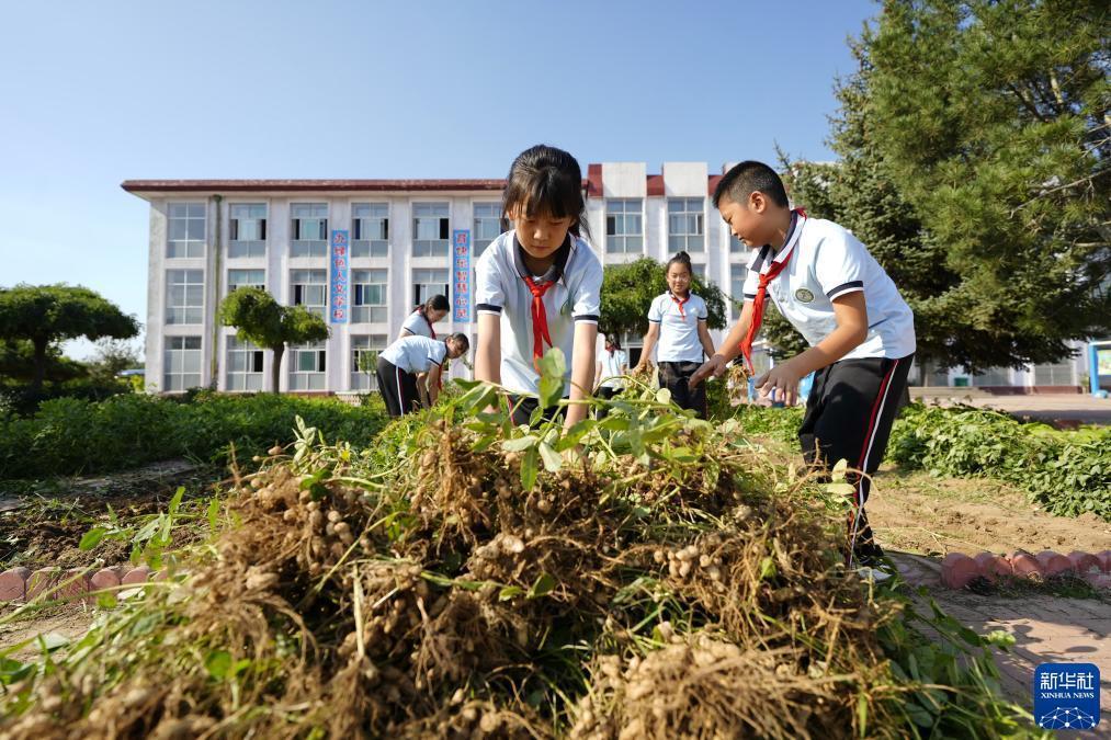 捕鱼下现金注册送分